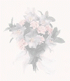 AnotherBouquet.gif (23963 bytes)