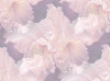 pinkorchids.gif (82218 bytes)